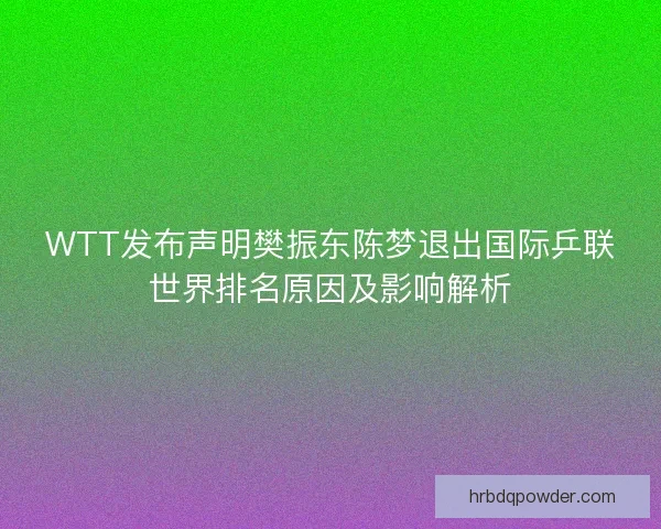 WTT发布声明樊振东陈梦退出国际乒联世界排名原因及影响解析
